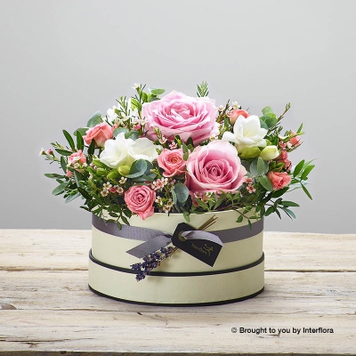 Rose Blush New Baby Hatbox ( in black hatbox) with James Junior Bear